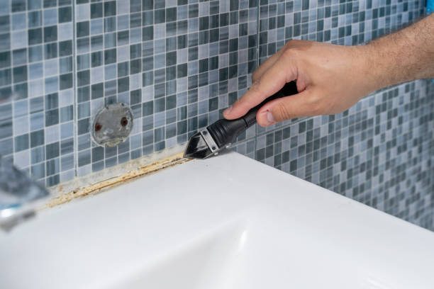 Best Commercial Mold Removal  in Bear, DE