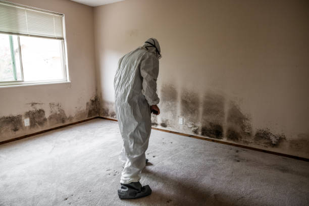 Best Mold Testing  in Bear, DE